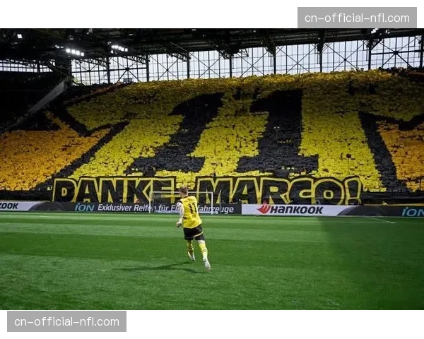 现场报道：多特蒙德主场南看台球迷展示巨型TIFO致敬罗伊斯。