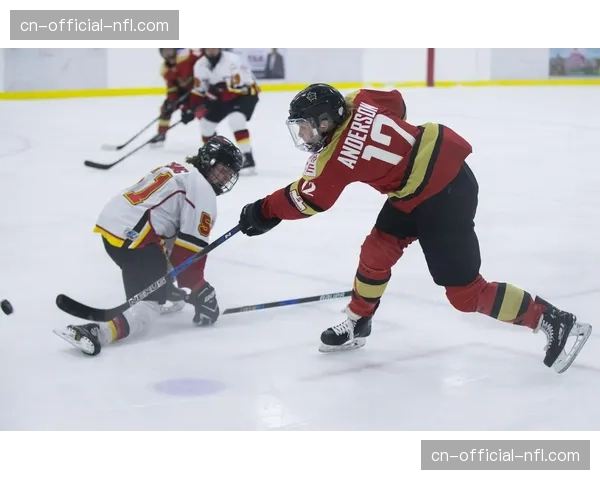 PWHL多伦多队队长专访:谈首届职业女子冰球联赛的竞争与成长 PWHL多伦多队队长专访:谈首届职业女子冰球联赛的竞争与成长